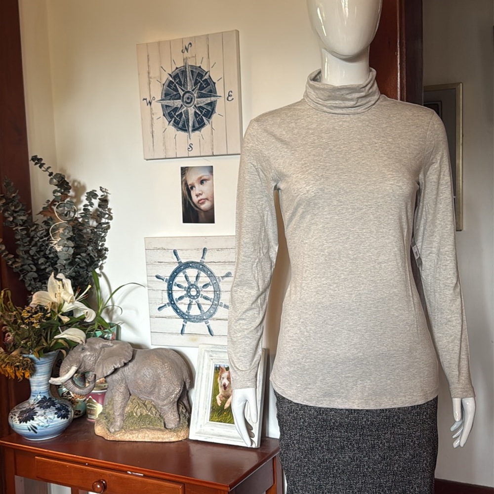 NWT Eddie Bauer size small Light Gray Turtleneck Long Sleeve Top - Picture 2 of 6